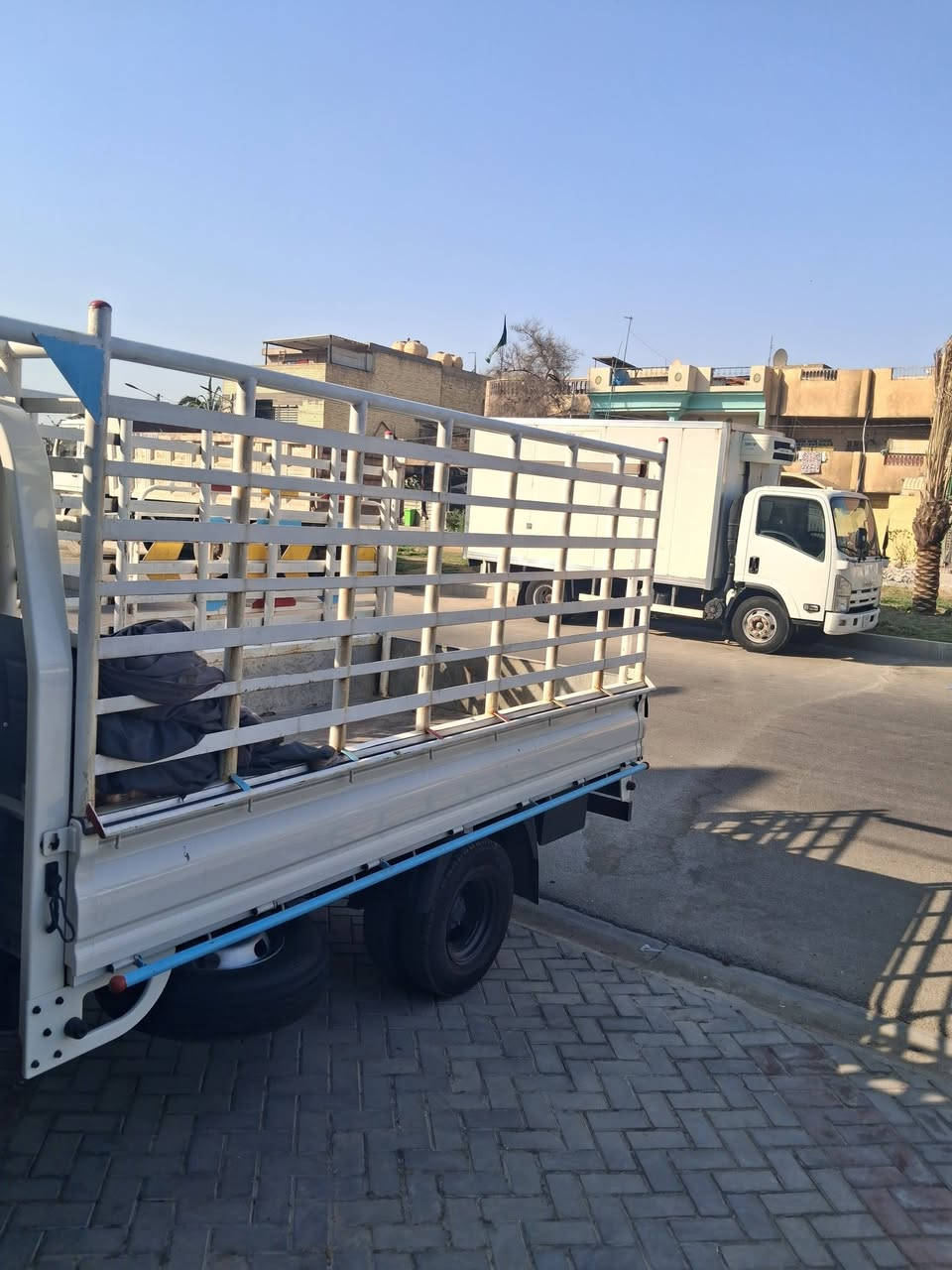 محجر فحل للبيع مكاني بغداد مدينة الصدر***********سعر ٣٠٠ الف وبي مجال
