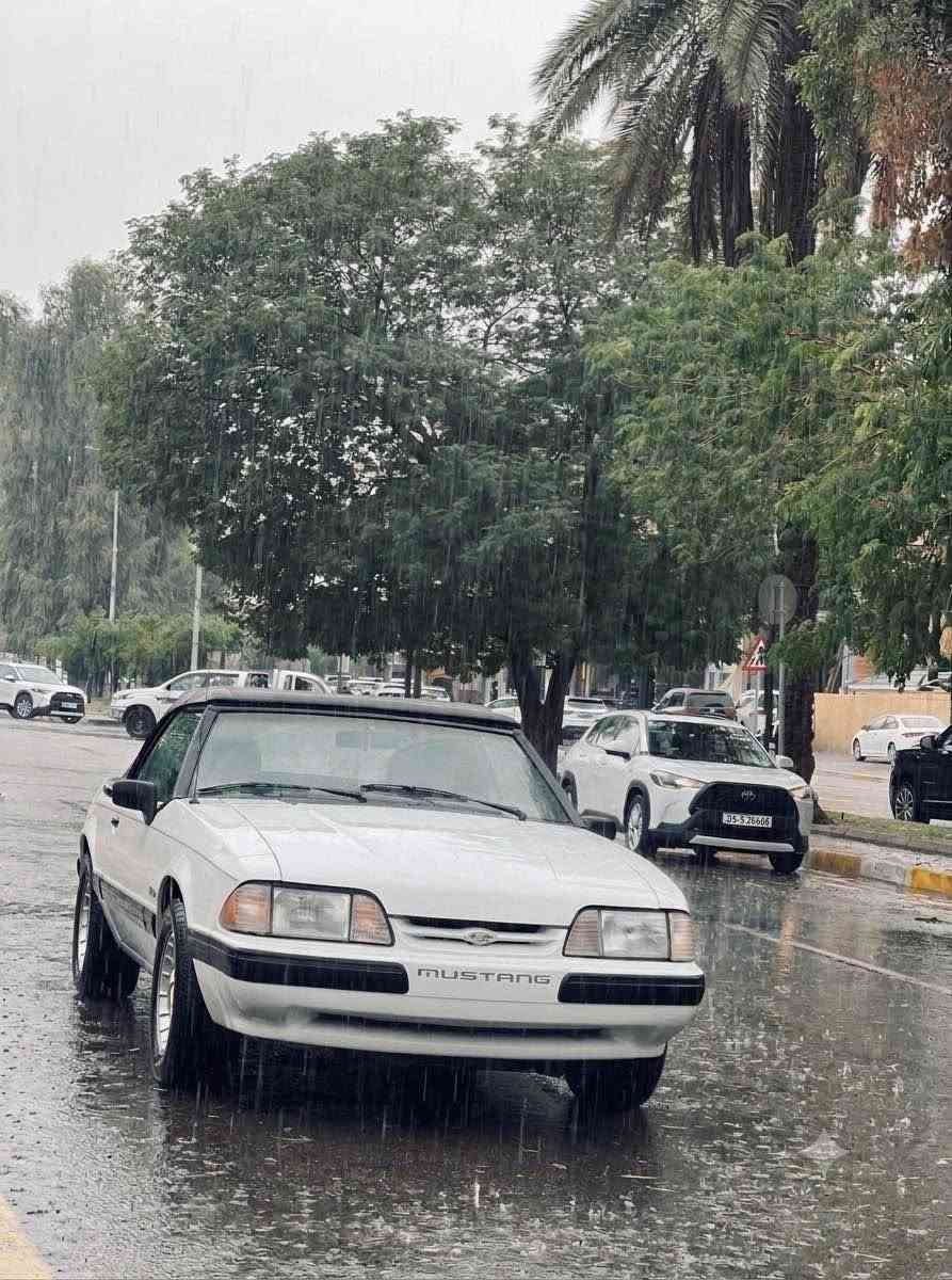1989 Ford Mustang Foxbody 🔥

أيقونة الثمانينات والـ Muscle Car الحقيقي! 🐎💨

🛠️ المواصفات والتفاصيل:

 الموديل: فورد موستنج (Foxbody)

 سنة الصنع: 1989

 المحرك: 5.0L V8 (Small Block Ford) 🔥

 ناقل الحركة: [ أوتوماتيك Automatic]

 الدفع: خلفي (RWD) ⚙️

 السياره بلادية و كلش حلوه نصبتهه

محرك كير بلاد مكفولات 

كشف شغال كهرباء

جام اوتو 

داخل جلد لونين 

رقم بغداد حلوه رقمهه باسمي سعرهه مناسب 

مكانهه بغداد حي القادسية للاتصال *********** بغداد, العراق
