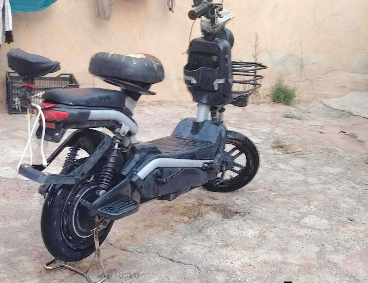 السلام عليكم
مكلف بلنشر بايسكل شحن للبيع بطاريات جدد مامبدلات شرط ليثيوم سرعه فول يحمل وزن 250كيلو للاستفسار مراسله هذه الحساب او الاتصال عل رقم ***********وحياكم

