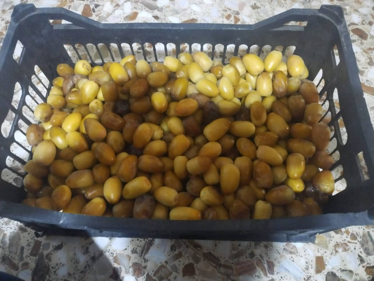 متوفر صندوق تمر حوش اليوم ***********
