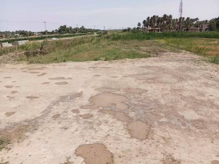 السلام عليكم  ارض زراعيه للبيع ثلاث دوانم مع بيت متكون من استقبال ومطبخ وغرفتين وصاله ومجمع صحيات  بس ارضي عايزله ،بل دغاره على الشارع العام مباشر  يم مدرسه الجمعيات  السعر تصال ع رقم *********** ادخل واتساب
