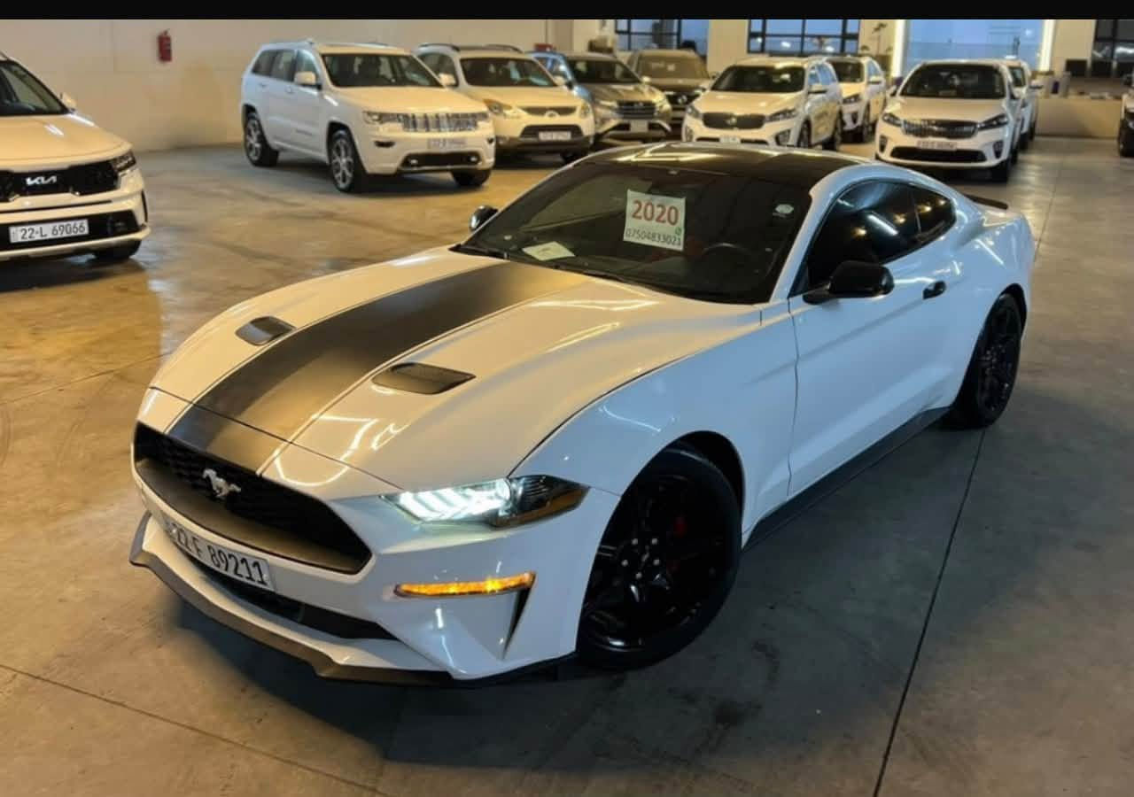 موستنگ 2020ايكوامريكي  4سلندر محرك 2300 تو ويل ماشيه 100تخم تايرات جديد حداديه فول  السياره نظيفه حيل 
*********** مكاني بابل الحله جزائر
