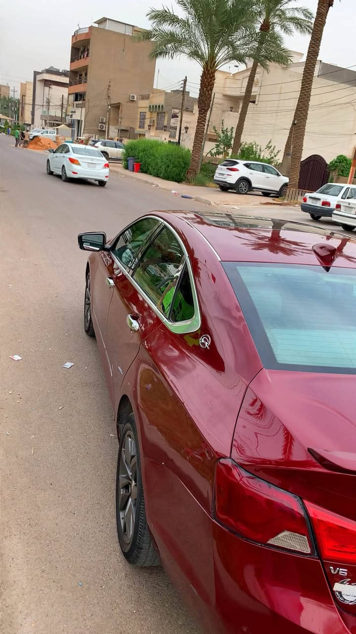 امبالا • ٢٠١٧ • رقم سليمانية
