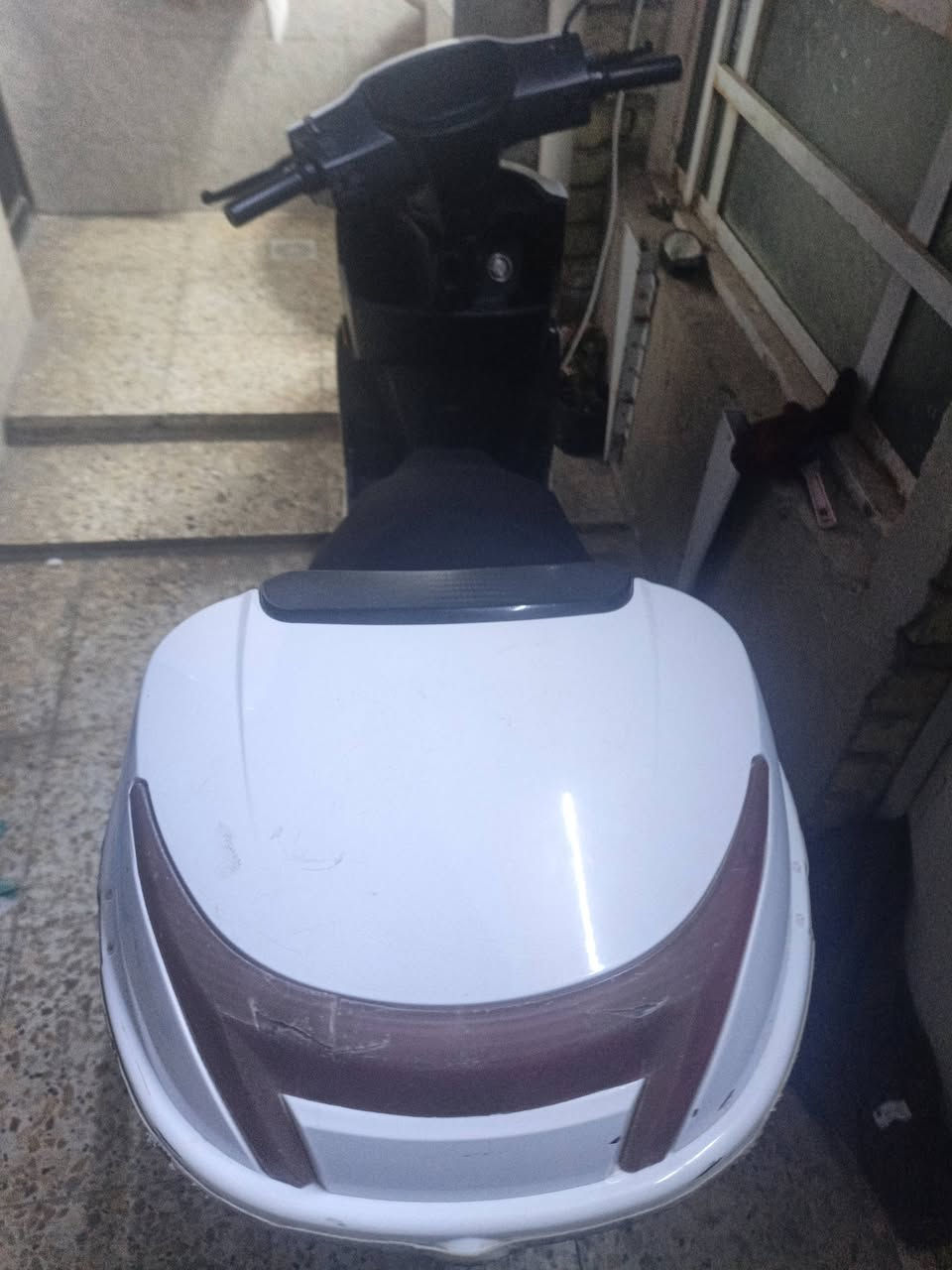 سكنس شحن للبيع 6 بطاريات جديدات بيهن ضمان 8 اشهر تايرات جديدة بدلتهن دراجة نضيفة حيل بيهة صندوكين وبيهة خوذة مكاني لبلديات لسعر 450 *********** بي واتساب
