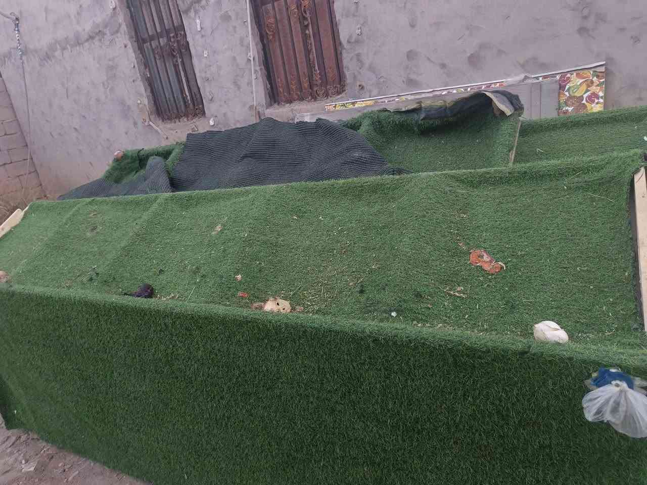 ميوزه مال مخضر تفصال جديد طول الواحد 3متر ورتفاع متر1العدد2وياهن واحد طولاني صطحي والشراي بي خير ويدلل يخابرني ومايكون خاطره له طيب صارلهن اقل من الشهر من مفصلهن ***********
