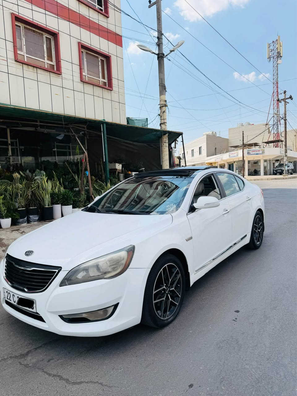 فول • بانوراما • ٢٠١٠