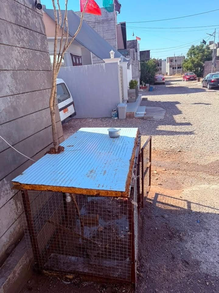 قفص للبيع

قفص للبيع، متعدد الاستخدامات ومناسب لتربية الدجاج والطيور والكلاب 🐔🐦🐕
متين وعملي، وينفع للبيت أو الحوش أو المزرعة.

للمهتمين والاستفسار، مراسلة خاص
او واتساب ‭***********‬

خانقين
