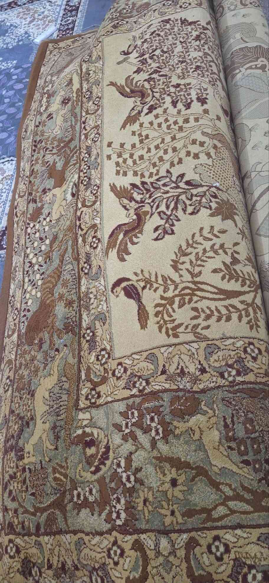 طباخ • ريبورت • كابسة
