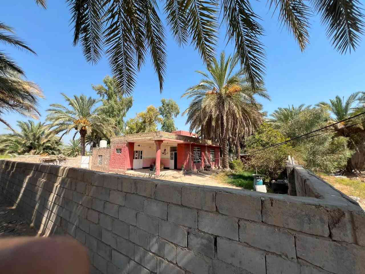 السلام عليكم 
ارض زراعيه للبيع فرع المصلخ.المساحه : 3دونم تبعد عن المشروع 150م تحتوي على بيت وبستان 
لـمعرفة السعر وللاستفسار اتصل هـ:***********
