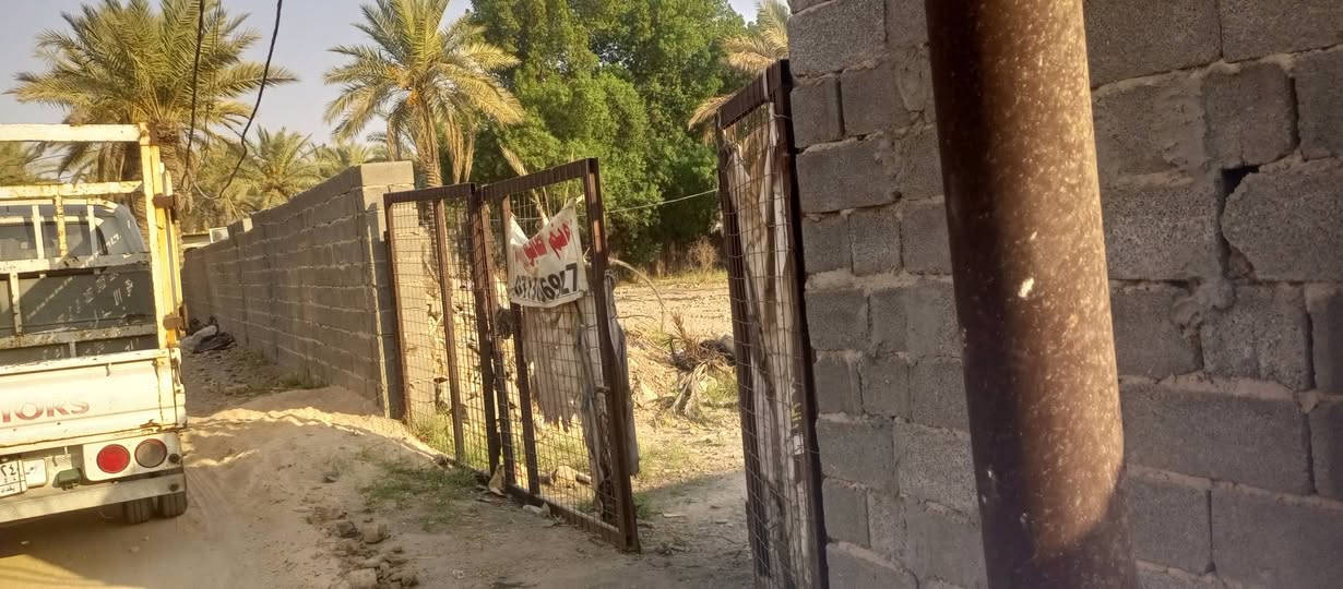 السلام عليكم 
دونم للبيع طابو زراعي ينباع نصف أو كامل 
يحتوي على حمضيات مع نخيل حمال 

لتواصل ***********
