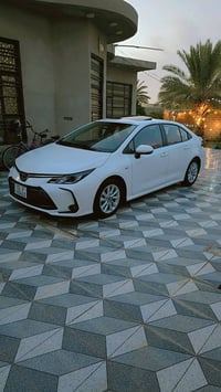 كورلا • ٢٠٢٥ • رقم بغداد