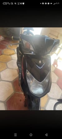 سكنس فحل للبيع 07736222614 نظيفة قبل شهرين اخذتها  السعر 650 بيها مجال...
