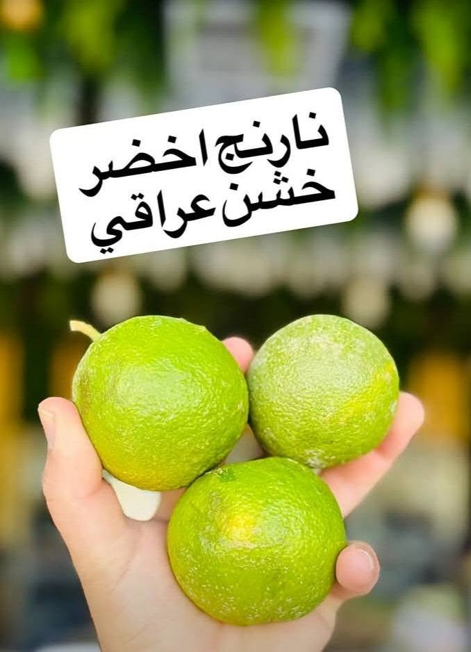 خيرات بسماية • خضار وفواكه • طازجة