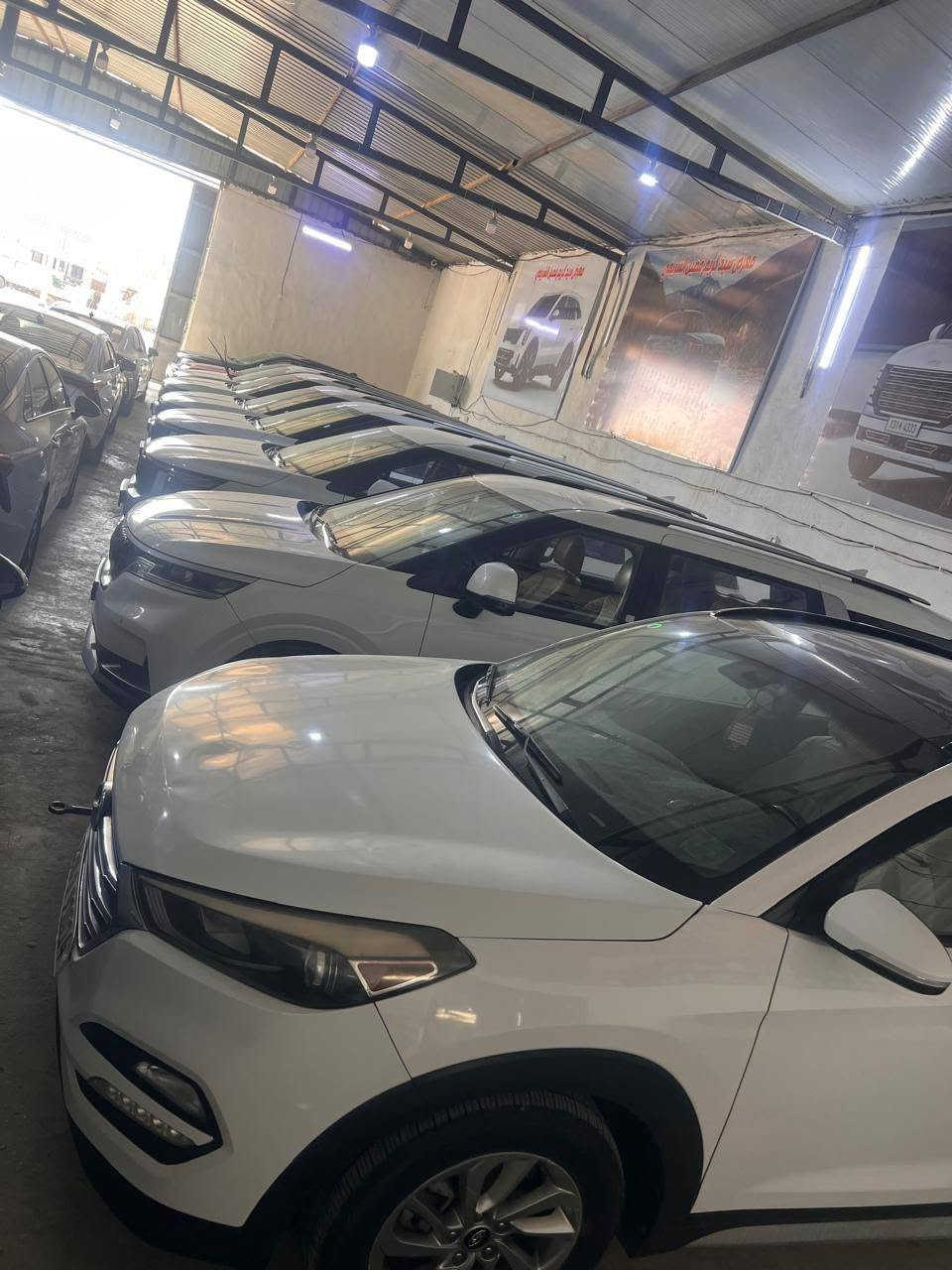 للبيع او مراوس حسب القناعه
انواع ألكيا الكرنفال موجود في معرض ومزادات سيدكريم فضيل  الشريفي الحله شوملي شارع المعارض قرب السيطره 
التواصل على الارقام التالية 
***********
***********
معرض ومزادات سيدكريم فضيل الشريفي
