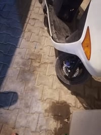 فراشه فحل • مكينة مفوله • ١٤٠