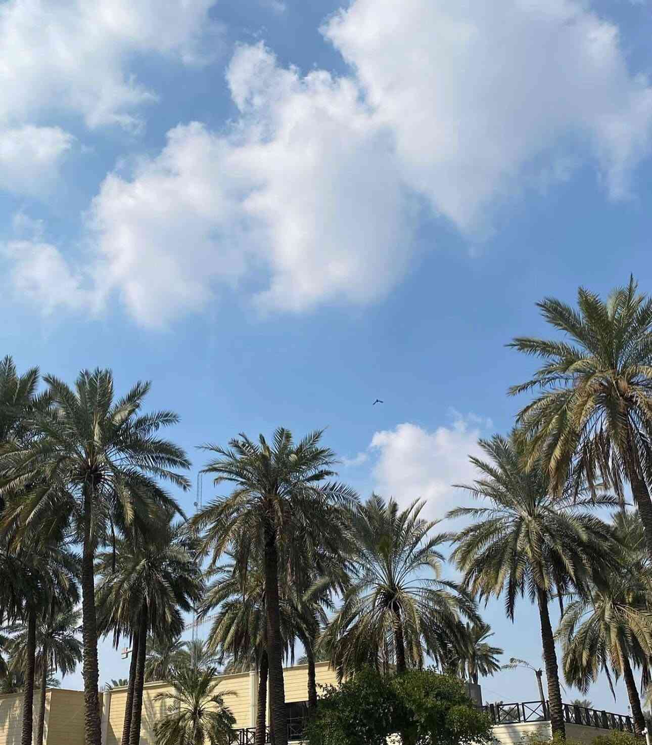 تسجيل • جامعة الفراهيدي • بالخدمة