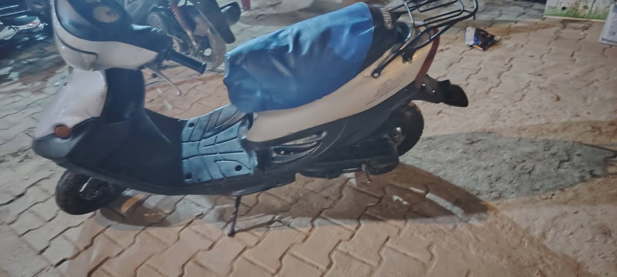 هندر • سلف • دبلات