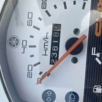 ماكس بوليس • جديدة • كفالة