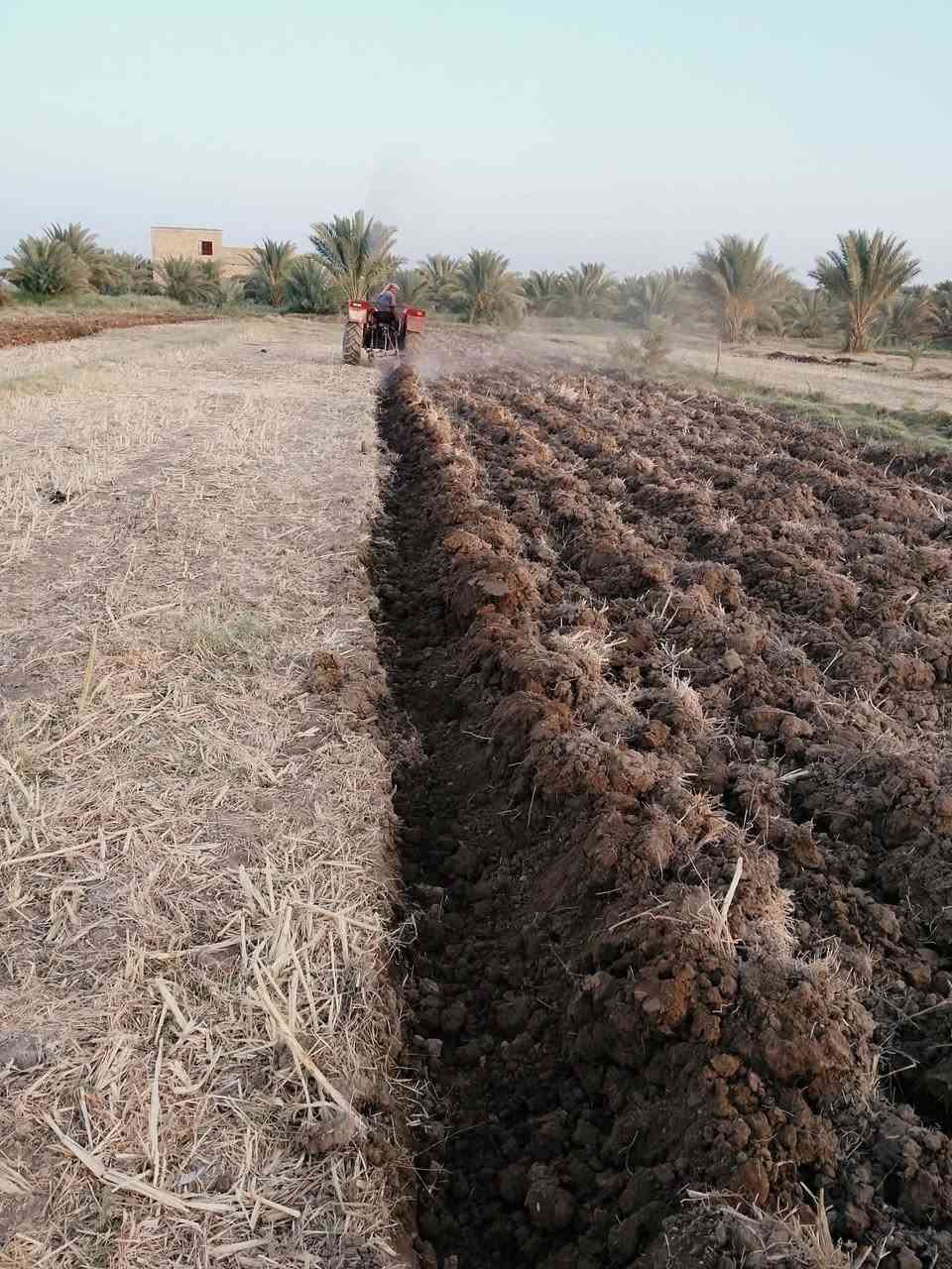 . مكلف بل النشر مكينه عنتر 71 محرك ستندر شرط لاتنقيص ولا بخار جهاز هدروليك  بم ونوزل جديد تايرات جدد باتري جديد نكره سلف كهربائيات لايتات كلها شغاله مكينه ماتصرف عليها لو ربع جاهزه للكراب. المكينه بدون. السعر 4ملايين  قفل رقم التلفون *********** المكان سماوه رميثه@
