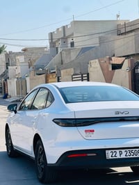 سيل فايف • ٢٠٢٥ • بدون صبغ