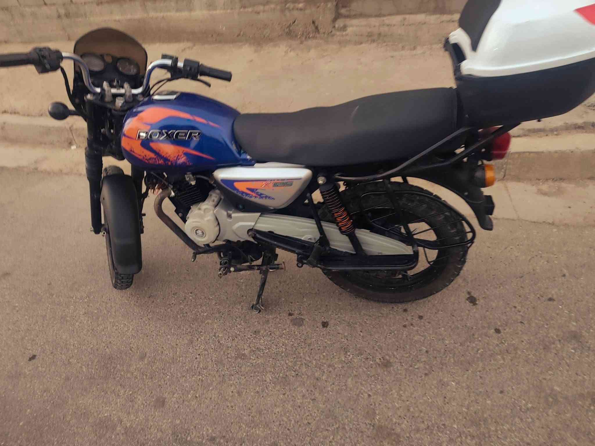 بوكسر جبلي • ٢٠٢٣ • بدون اوراق