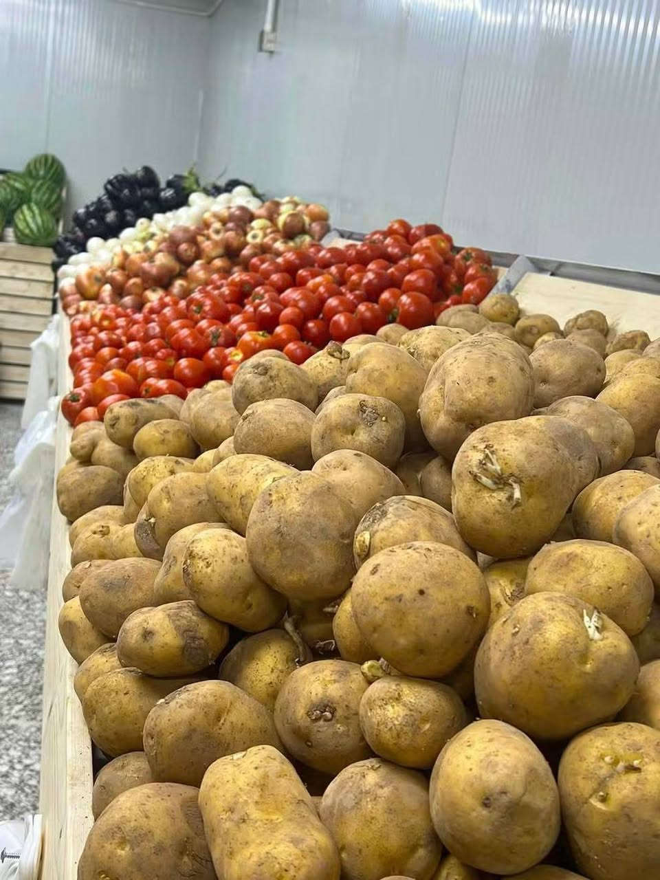 (بسم الله الرحمن الرحيم )
         اسعار يوم الجمعه
 واتساب 
***********
عروض اليوم
،،،،،،،،
طماطه   ب 1000
لهانه حمر ب 1000
لهانه بيظه ب 750
بصل اصفر عراقي ب750 ،3ب الفين
بصل ابيض كرستال 750
بطاطا عراقيه درجه اولئ ب1000
اسود  درجه اولى ب750 3ب الفين
اسود شمالي ب 1000
خيار عراقي تازه🥒 ب 750
3 ب الفين 
بامـيه عراقيه بتـره ب2500
لوبيا عراقيه ب2000
شجر شمالي  ب  750
فلفل 🫑 بارد درجه أولى  1250
ثوم شريط ب 1000
ثوم وزن ب 3500
الفواكه،،، 
ركـي درجه اولى الحكه ب3
عـنب كمالي ب 1250
عنب اسود ب 1250
عنب حلواني ب 1250
موز درجه اولئ  🍌ب 2000
خوخ صوفي ايراني ب1250
خوخ صوفي اردني 2000
خوخ كعكي ب 2000
خوخ مسكي  تركي ب 2000
رمـان مصري ب 1500
رمان يمني ب 3000
منكه ب 3000
تمر  عراقي نص ونص ب 2500
اللوو احمر درجه اولئ ب1250
تفاح سكري1500
تفاح احمر تركي ب 2000
لالنكي عسلي  ب 2000
برتقال مصري درجه أولى ب1500
ليمون  اخضر1500
ليمون إفريقي 🍋 2000
خضرة َ  10  َ 1000
سـلك بـاكـه 1000
رشاد باگـه ب 500
فجل احمر ب500
علوة الطائي للخضار والفواكه الطازجة
