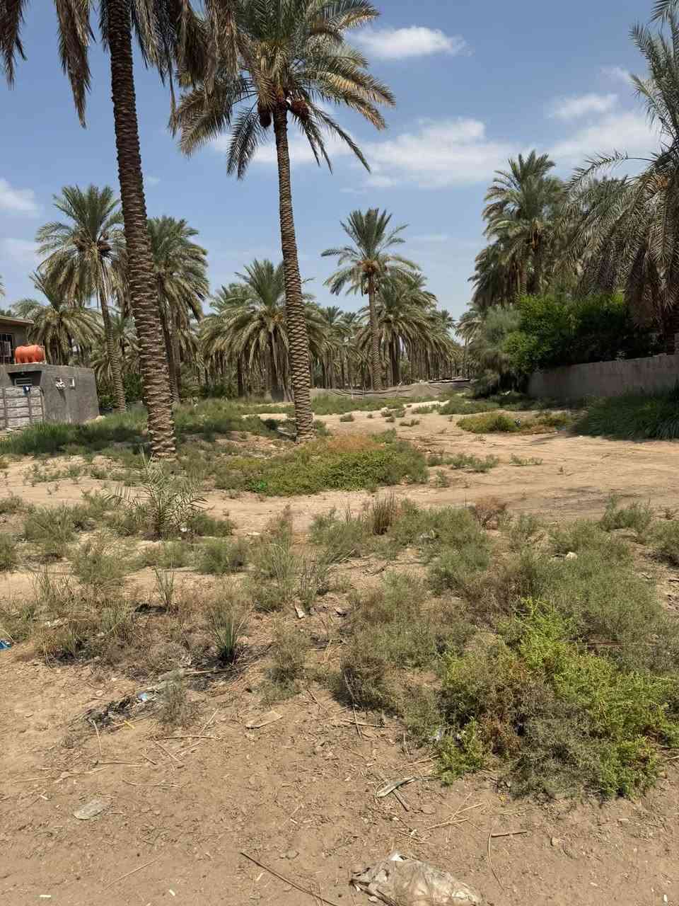 السلام عليكم
يوجد للبيع قطعة ارض طابو  زراعي سند ٢٥ مساحه ٥٠٠ متر 
العنوان /بابل  منطقة السوره سنتر ع التبليط تبعد عن الشارع العام حله ٣٥٠ متر 
تحويل مباشر من البايع للمشتري ع طابو المحاويل 
الخدمات كامله جاهزه للسكن واجه القطعه ١٥ متر اليرغب بالشراء الاتصال ع الرقم

‭***********‬
