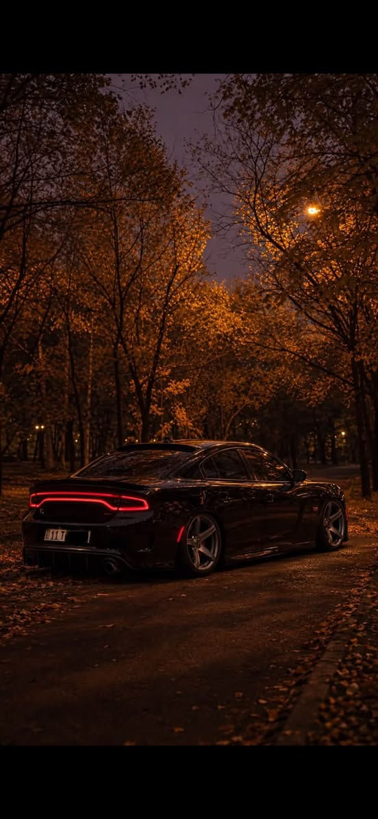 V6 • ٢٠١٩ • رقم بغداد