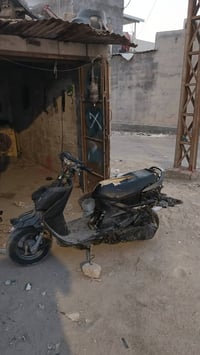 فراشة • شغالة • عوزة بطارية