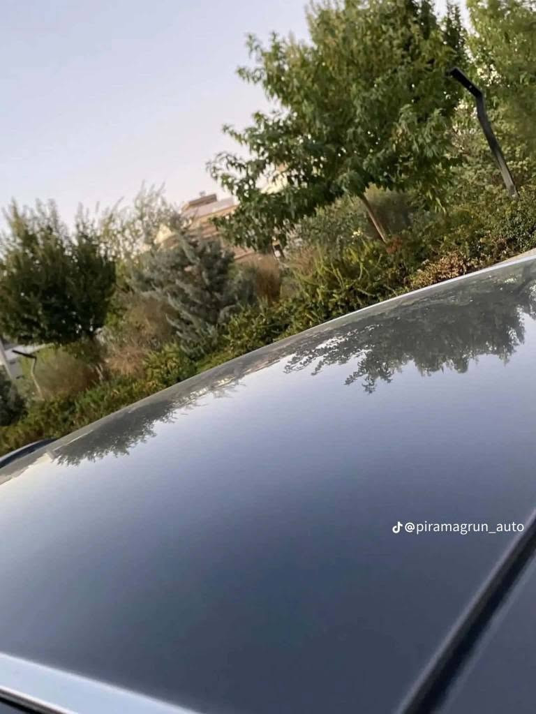 شاهين • ٢٠٠٦ • السليمانية