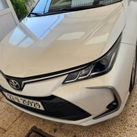 كورلا خليجي • ٢٠٢٥ • رقم أربيل