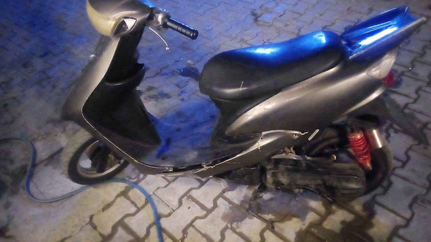 عصفوري مجنح • دراختين • شغالات
