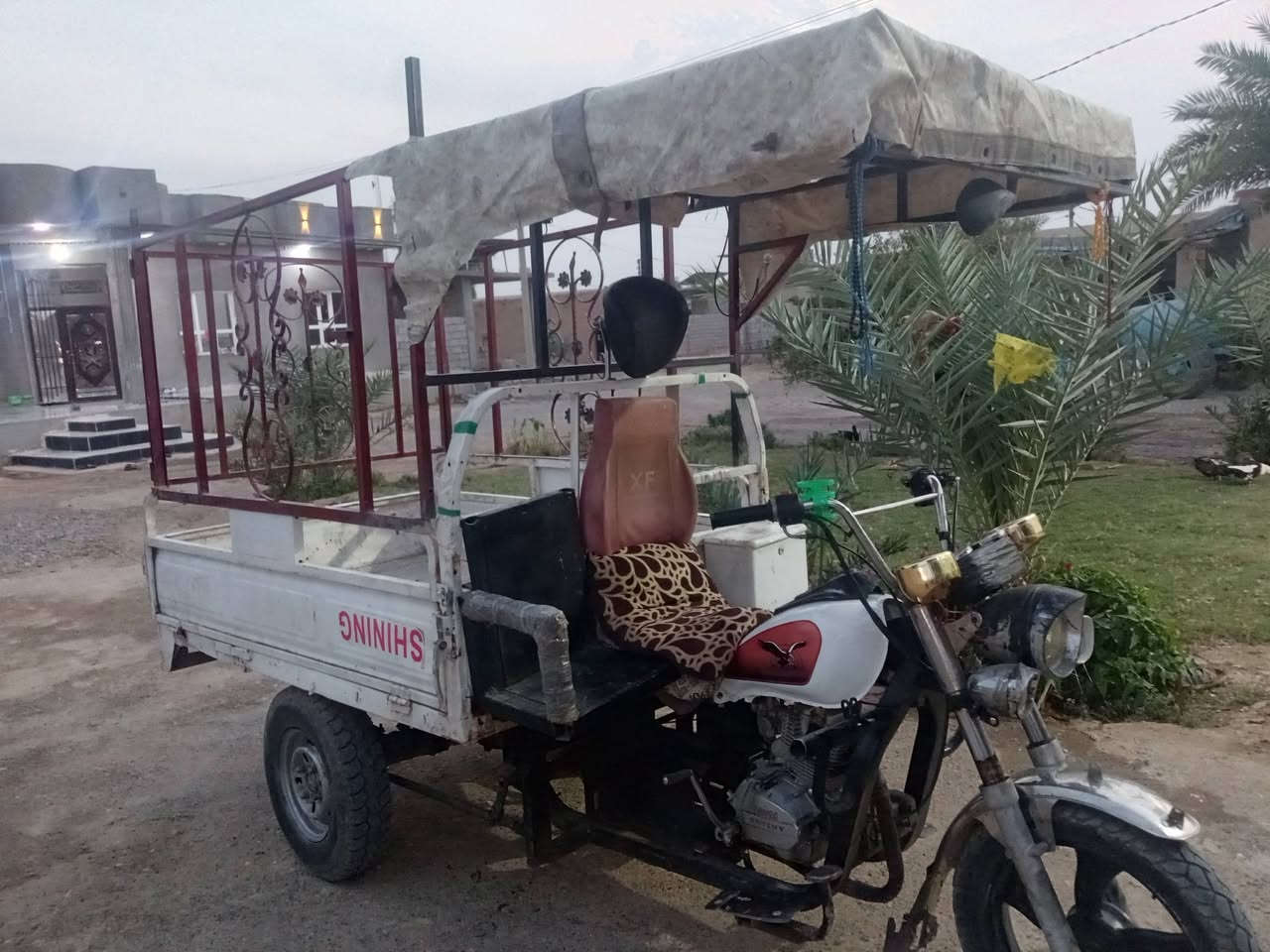 ستوته • للبيع • الحويجة