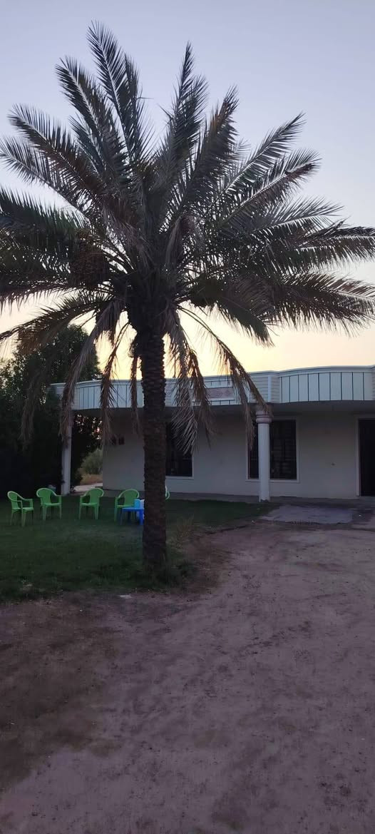 🏡 للبيع دارين سكنيتين خلف جامعة بابل
متوفر دارين للبيع، ويمكن بيع دار واحدة أو الدارين معًا حسب الرغبة.

📐 المساحة الكلية: 3000 متر مربع
💧 ماء إسالة
⚡ كهرباء وطنية
🔌 خط مولدة
📄 طابو زراعي – سند 25
🔄 تحويل مباشر
📑 فاتح بيان

📍 الموقع: خلف جامعة بابل – ناحية إبراهيم الخليل (ع)

للاستفسار والتواصل: 📞 ***********
📞 ***********

للجادين فقط، اتصال أو مراسلة الصفحة.

