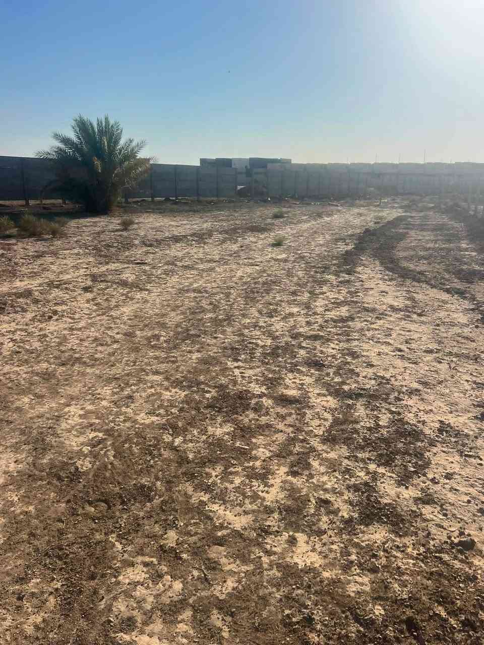 الهم صل عله محمد وال محمد
يالله قطعة ارض مساحه بل سند 420واقع الحال اكثر من 700مجاور مجمع اشور الرابع واجهيه 37نزال 12خدمات مدرسه قريبه تبعد عن طريق حله نجف 800 متر تبعد عن التبليط موضحه بل منشور السعر 50بيهه مجال ***********📞 متواجد واتساب
