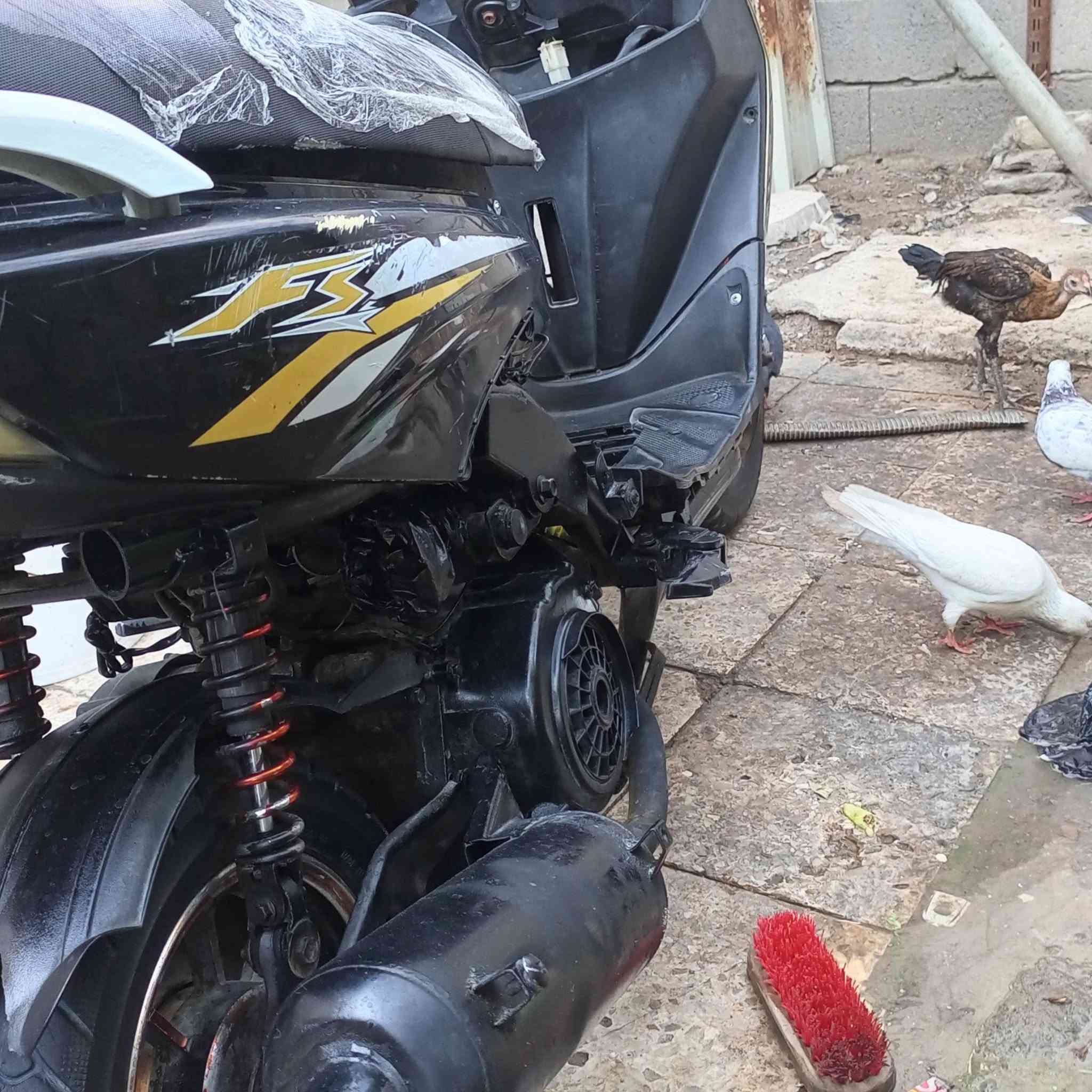 سلام وعليكم للبيع دراجه ماكس أف اس قيم واخذ رقمي *********** يرادلها عرموطه مال هندر ملاحظه متروكه هم ماكاني بصره شط العرب تنومه
