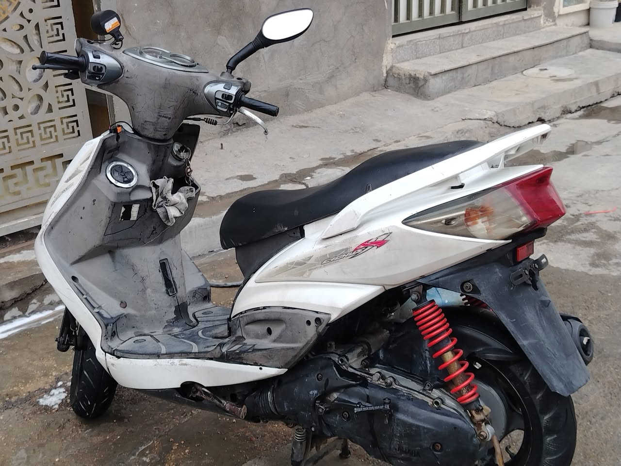سكنس فحل • نظيفه • كفرات بلاديه