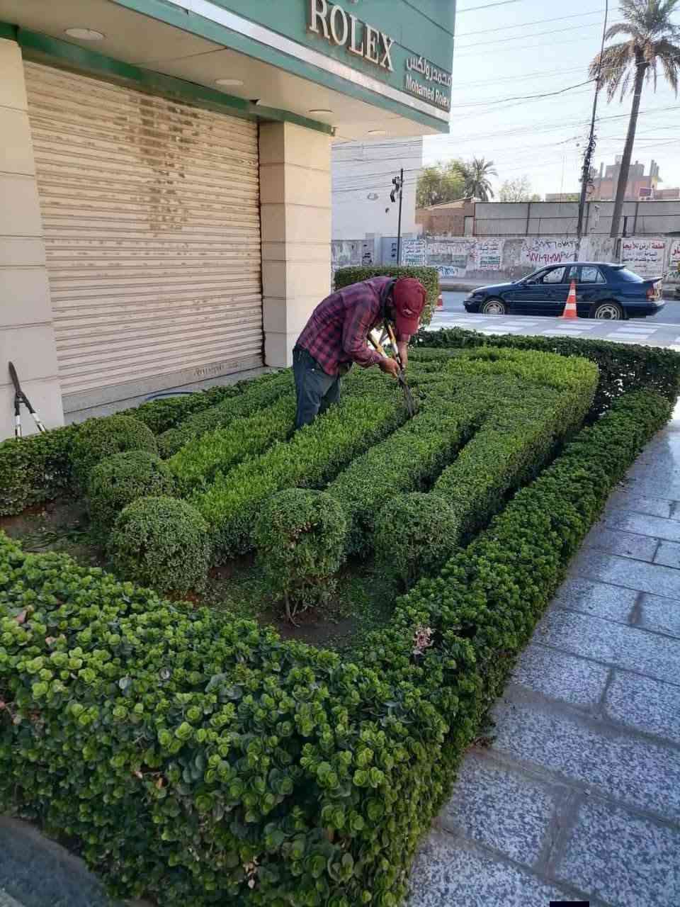 وان كنت ‏‪ عن التميز فنحن هنا
نقدم عروض استثنائية وهاذي بعض الصور من عملنا وبأسعار تنافسية 
ومناسبه جدأ للمساحة الكبيرة ....🌲
ملاحظه اي استفسار على الخاص او
تواصل معنا ....📞📞😍
‏‪***********‬‏ 
او ارسل رسالة على بريد الصفحه🌹
