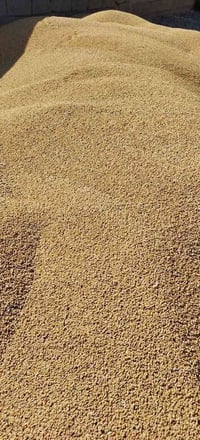 حنطه • نزار • طن او نص