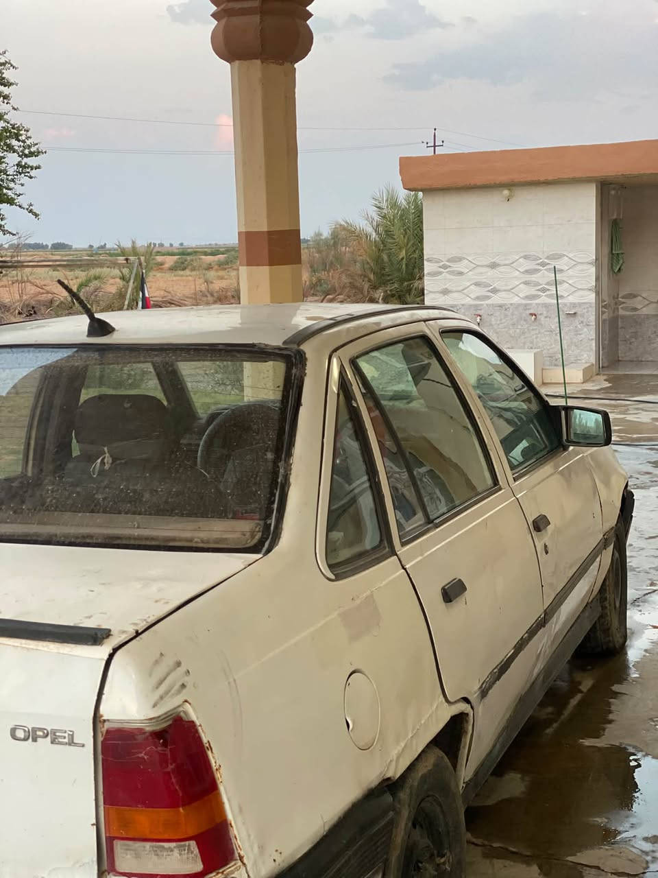 كاديت • نضيفه • بيها مجال