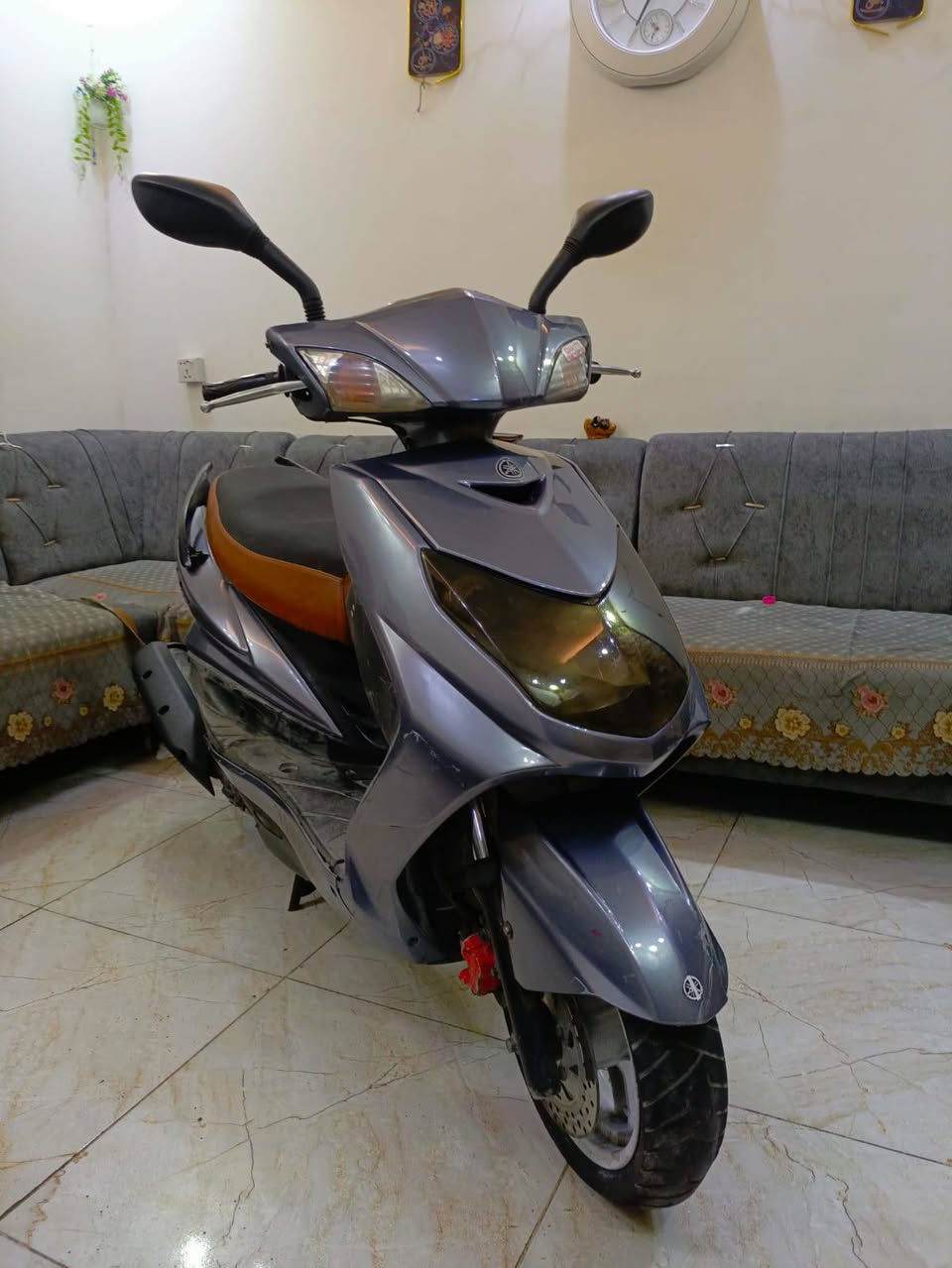 سكنس فحل • كفاله • اوراق