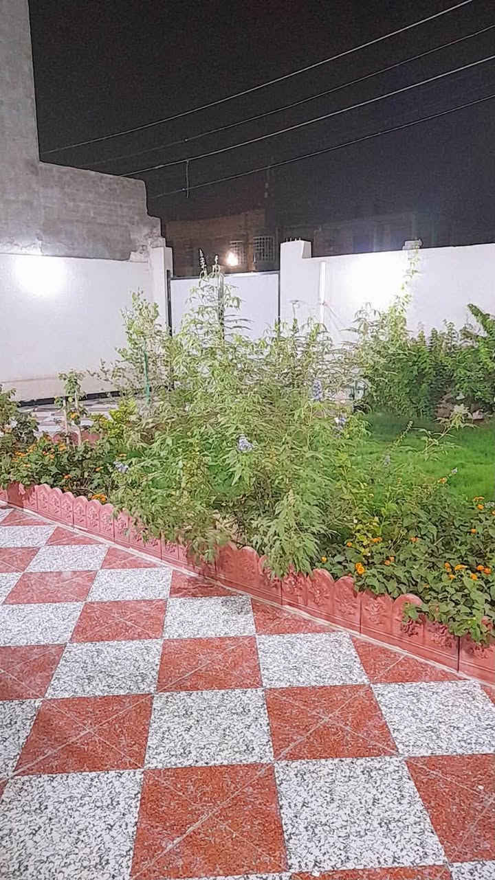 للبيع بيت ملك صرف في منطقة القبلة، خلف السوق الكبير، على شارع العام.
المساحة: 2٠٠ م²
الواجهة: 12.5 متر
عدد الطوابق: طابقان

الطابق الأرضي:

* كراج سيارة
* حديقة
* غرفة
* صالة
* هول
* ديوانية
* حمام داخلي
* حمام خارجي

الطابق الثاني:

* 3 غرف نوم
* صالة
* حمام

البيت نظيف ومُعتنى به، وموقعه مميز وقريب من الأسواق والخدمات.

للاستفسار والتواصل يرجى المراسلة أو الاتصال
***********.
