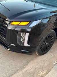 باليسايد نايت ادشن • موديل ٢٠٢٤ • حادثة