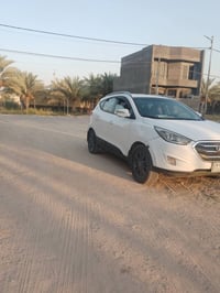 توسان • ٢٠١٦ • المسيب