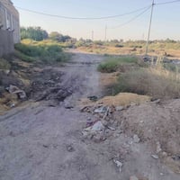 طريق السنيه الدوانيه • ٣٠٠م • مسيجة