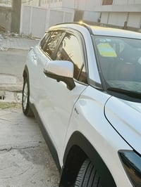 فروت لاندر • ٢٠٢٥ • ماشيه ٢٢٠٠٠