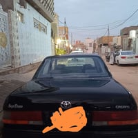 ارنب جنازي طويل • كراون • ٩٢