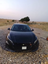 ألتيما • ٢٠٢٤ • وارد أمريكي