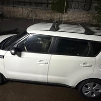 وارد امريكي • أبيض • ٢٠١٦