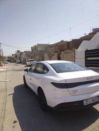بيوايدي • موديل ٢٠٢٥ • بدون صبغ